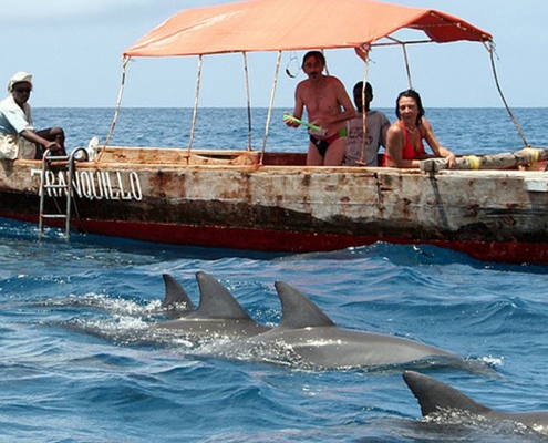 Kizimkazi Dolphins (2)