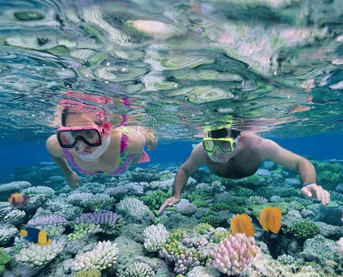 Mnemba Snorkeling (4)