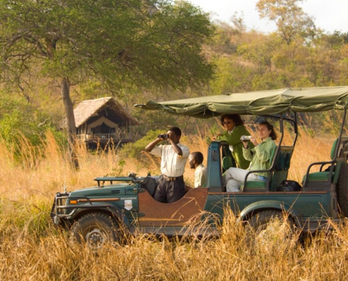One-day safari in MIKUMI PARK, departure from Zanzibar (1)